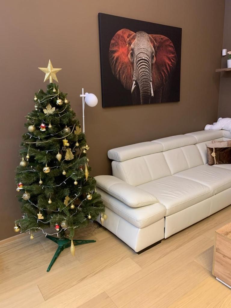 Apartment Dagmar Buresove ปราก ภายนอก รูปภาพ